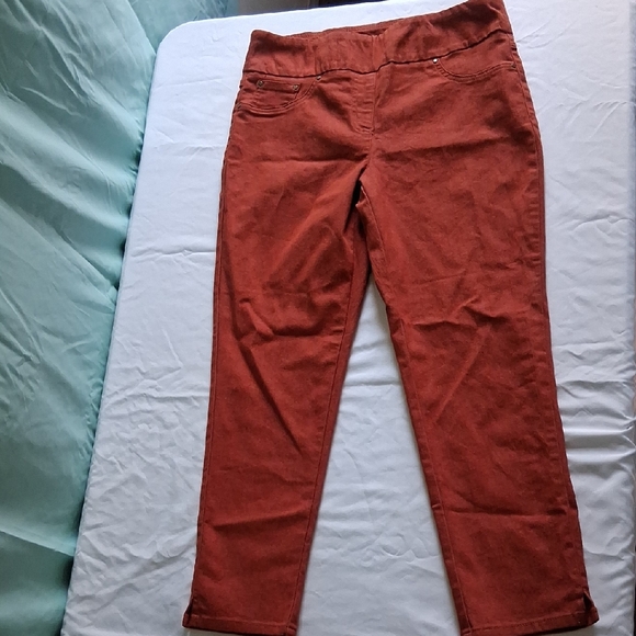 Ruby Rd. Terracotta Trousers - Picture 1 of 4